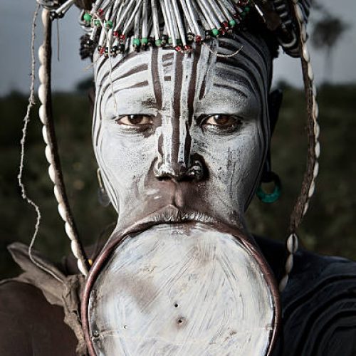 Mago National Park, Ethiopia - August 1, 2011: A Mursi woman poses with a very large lip plate in the Omo valley of Ethiopia. Mursi woman wear the lip plates as they are said to be seen as a sign of strength. Mursi men see the lip plates as a sign that the woman can endure great pain. When the lip plates are removed though there is nothing but a long wrinkled lip left in place that constantly dribbles saliva.